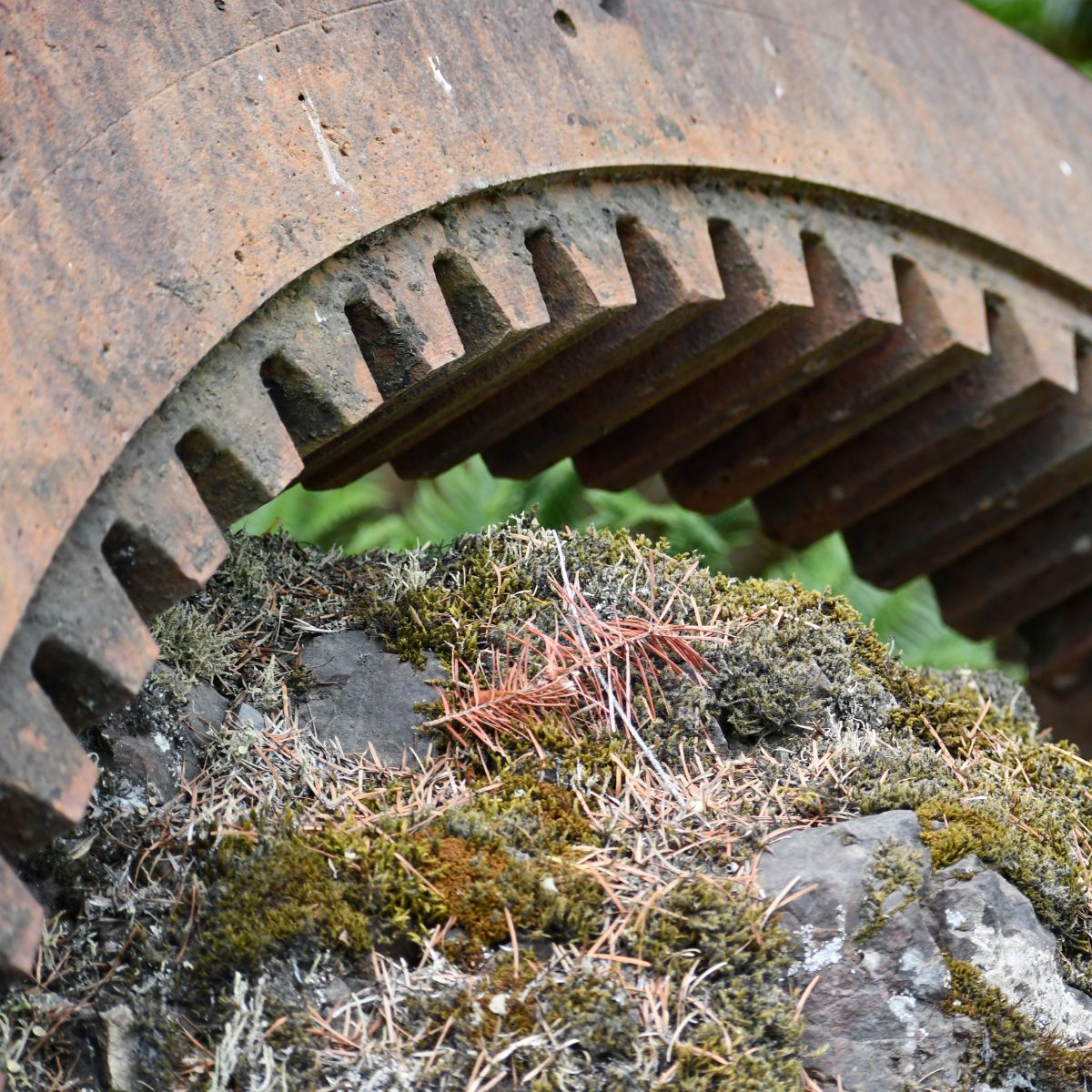 Large slewing gear