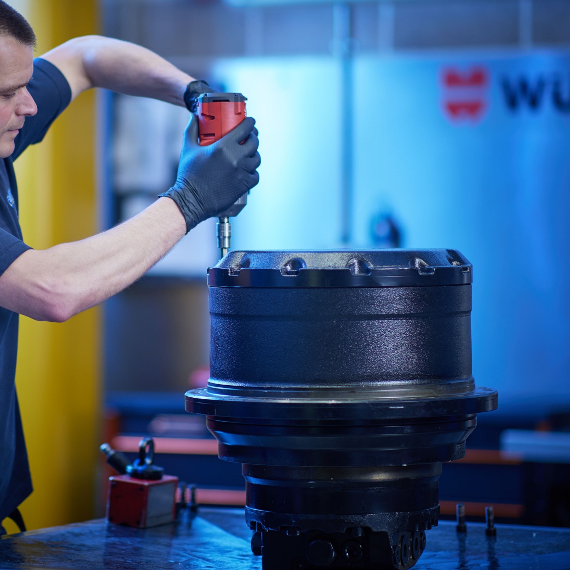 Plant Parts The Workshop